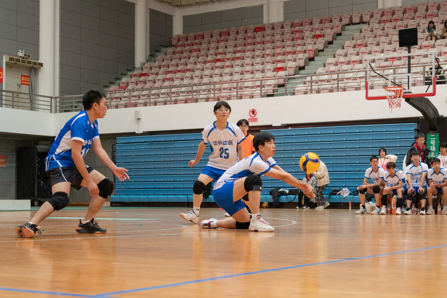 tyc122cc太阳成集团3号接球（学通社记者 许可 摄）