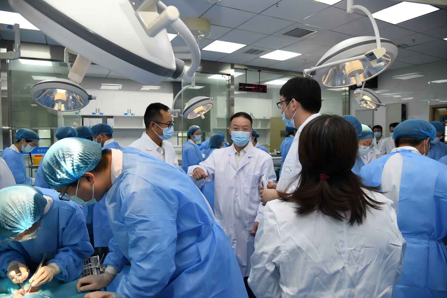 (记者 徐行 摄)1